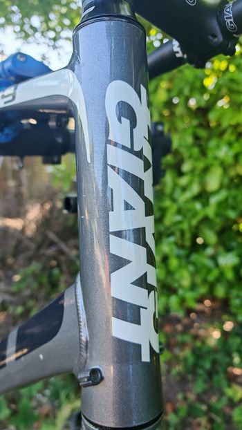 Gebrauchtes Giant Defy Frameset 2017 Road & Gravel, Hellgrau — Bild 4 von 14