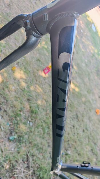 Gebrauchtes Giant Defy Frameset 2017 Road & Gravel, Hellgrau — Bild 12 von 14