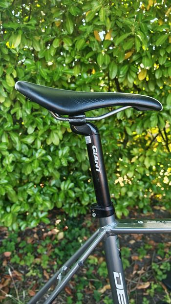 Gebrauchtes Giant Defy Frameset 2017 Road & Gravel, Hellgrau — Bild 11 von 14