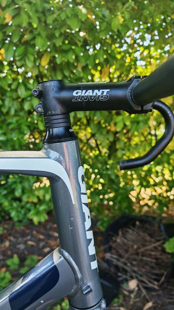 Gebrauchtes Giant Defy Frameset 2017 Road & Gravel, Hellgrau — Bild 14 von 14