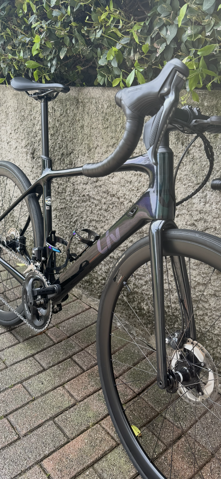 Brugt Liv Langma Shimano Ultegra 2022 Road & Gravel — billede 2 af 10