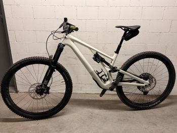 Gebrauchtes Specialized Stumpjumper EVO Expert - SRAM GX Eagle AXS, FOX Performance Elite 2023 2023 MTB