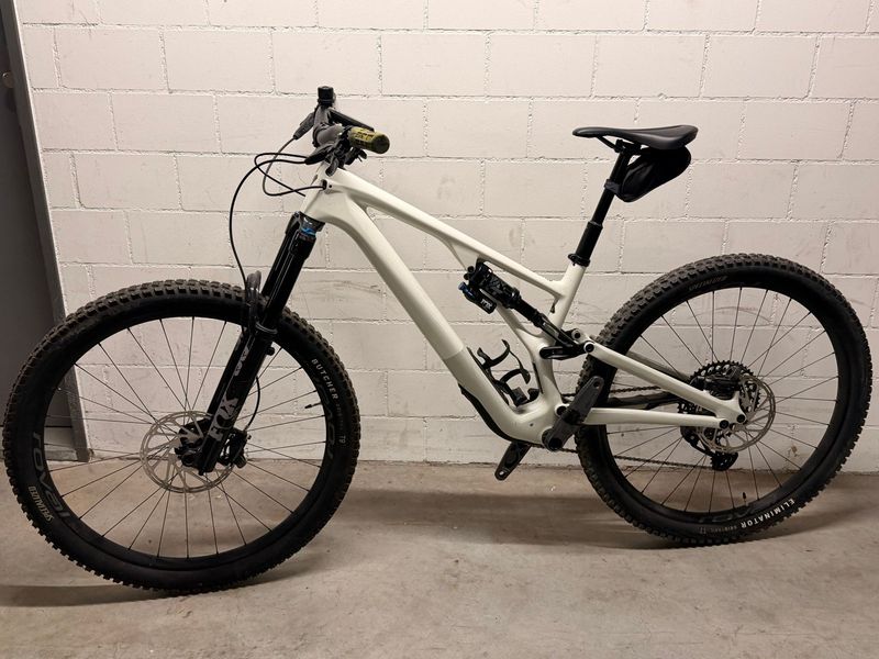 Brugt Specialized Stumpjumper EVO Expert - SRAM GX Eagle AXS, FOX Performance Elite 2023 2023 MTB