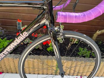 Tweedehands Cannondale Optimo Shimano Sora 2023 Road & Gravel — afbeelding 5 van 7