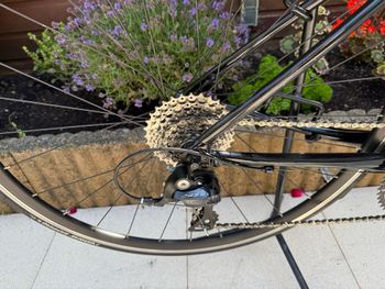 Tweedehands Cannondale Optimo Shimano Sora 2023 Road & Gravel — afbeelding 2 van 7