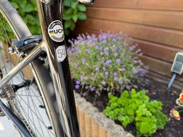 Used Cannondale Optimo Shimano Sora 2023 Road & Gravel, Black — image 4 of 7