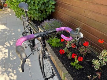 Tweedehands Cannondale Optimo Shimano Sora 2023 Road & Gravel — afbeelding 6 van 7