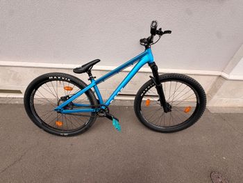 Used Rose Bruce Single Speed / Fixed Gear 2020 MTB