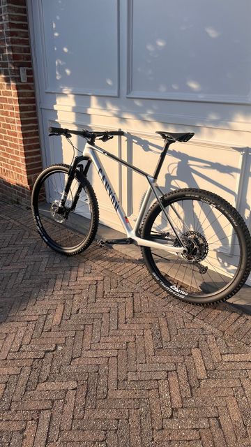 Used Canyon Exceed CF 6 2022 2022 Mountainbike, Light Gray, 29 — image 8 of 11