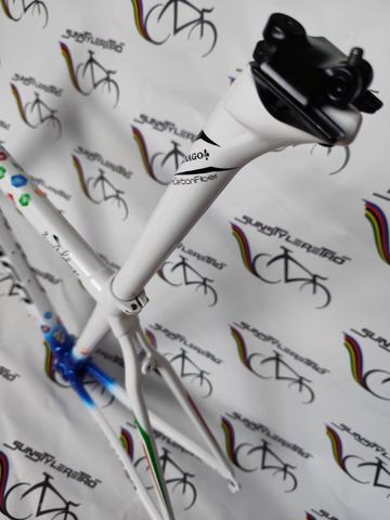 Colnago C59 Mapei Frameset 2011 Road & Gravel d'occasion — image 15 sur 21