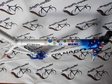 Colnago C59 Mapei Frameset 2011 Road & Gravel d'occasion — image 7 sur 21