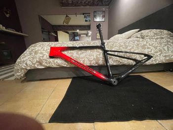 Cannondale Scalpel Frameset 2023 Mountainbike d'occasion — image 3 sur 5