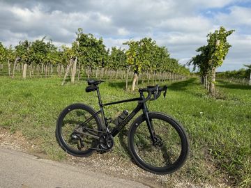Used Cannondale RLE LTD 2023 Road & Gravel, Green — image 3 of 4