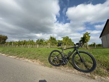 Used Cannondale RLE LTD 2023 Road & Gravel, Green — image 2 of 4