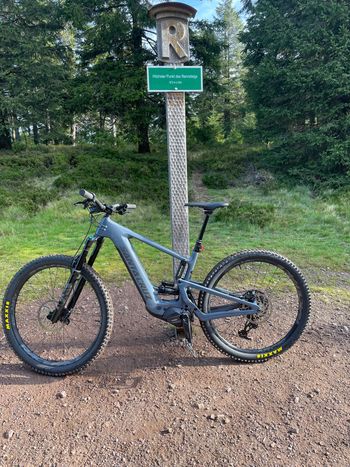 Gebrauchtes Santa Cruz HECKLER S 29 / Carbon C 2024 2024 MTB