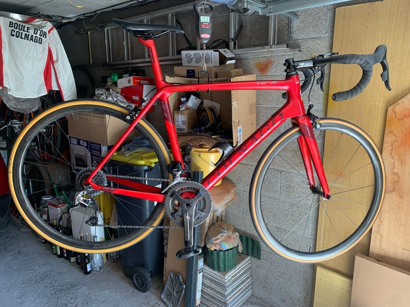Used Colnago Custom Frameset 2012 Road & Gravel