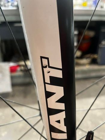 Brugt Giant Propel Advanced SL 1 Team 2016 2016 Road & Gravel — billede 12 af 12