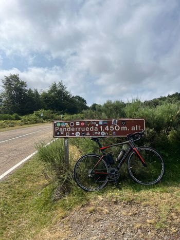 Used Bottecchia T1 Shimano Ultegra Di2 2017 Road & Gravel, Black — image 7 of 18
