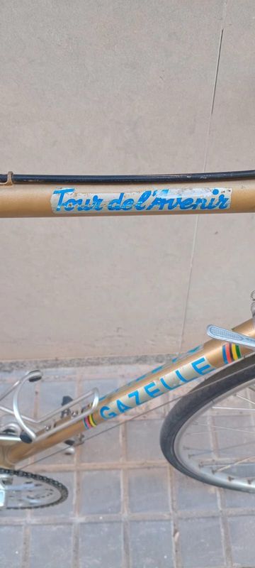 Used Gazelle Custom Simplex Vintage 1970 Road & Gravel, Orange — image 5 of 7