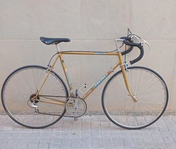 Brugt Gazelle Custom Simplex Vintage 1970 Road & Gravel — billede 2 af 7
