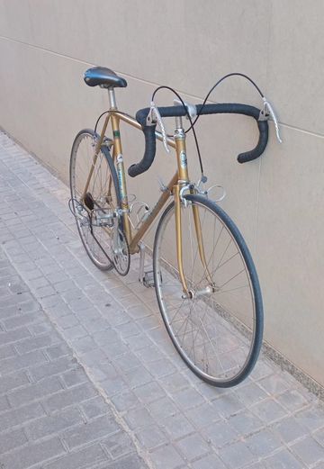Gazelle Custom Simplex Vintage 1970 Road & Gravel usato