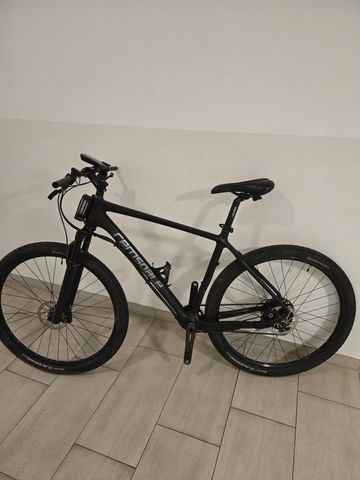 Gebrauchtes Remsdale MTB Carbon - Remsdale 29" Pedelec 2017 2017 MTB