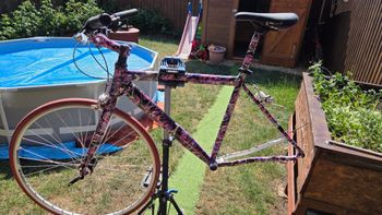 Brugt Csepel Custom Hydrographic Film Painted Frameset Frameset 2020 Urban & Touring