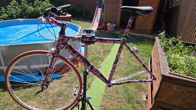 Used Csepel Custom Hydrographic Film Painted Frameset Frameset 2020 Urban & Touring