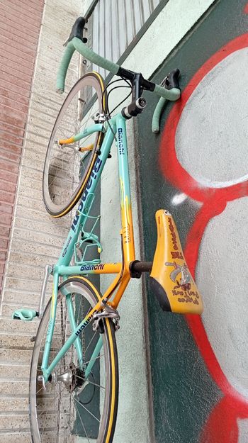 Used Bianchi Custom Campagnolo Mirage 1999 Road & Gravel, Green — image 5 of 6