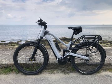 Brugt Giant Stormguard E+ Shimano Nexus Hub Gear 2024 Urban & Touring