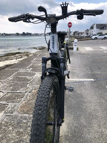 Použité Giant Stormguard E+ Shimano Nexus Hub Gear 2024 Urban — obrázek 4 z 20