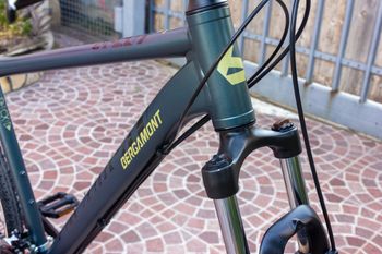 Brugt Bergamont Revox 2 grey 2023 2023 Mountainbike — billede 9 af 19