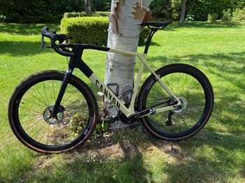 Brugt Canyon Grail CF SL 8 Di2 2023 2023 Road & Gravel
