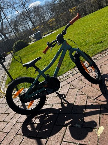 Tweedehands Scott Roxter 16 2021 2021 Kids & Youth