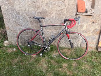 Tweedehands Willier Custom Shimano Tiagra 2021 Road & Gravel — afbeelding 8 van 13