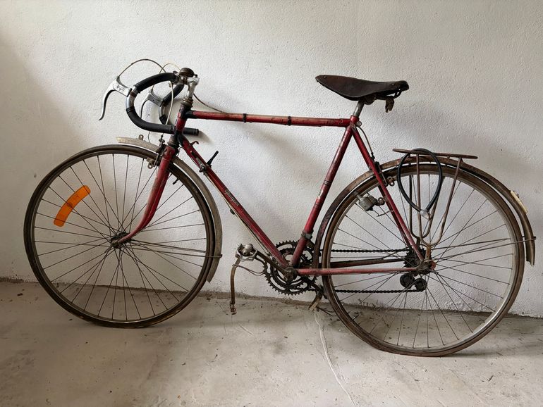 Gebrauchtes Peugeot Custom Other 1948 Road & Gravel, Rot — Bild 2 von 11