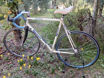 Rossin Genesis 1990 Road & Gravel usato, Bianco — immagine 2 di 4