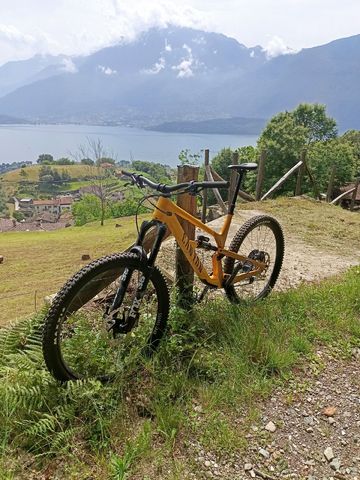 Gebrauchtes Canyon Spectral 29 CF 8 2024 2024 Mountainbike, Orange, 29 — Bild 1 von 5