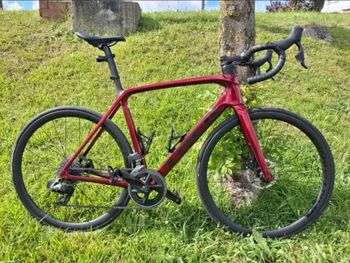 Used Trek Émonda SL 6 AXS 2023 2023 Road & Gravel