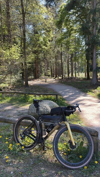 Brugt Orbea Terra SRAM Rival 2021 Road & Gravel — billede 4 af 12