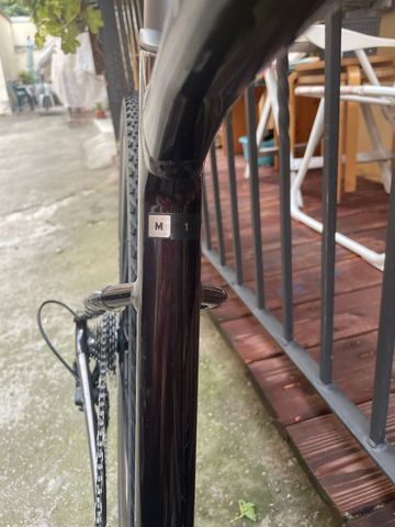 Used Giant Revolt 1 2024 2024 Road & Gravel, Purple — image 3 of 5