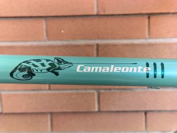 Bianchi Camaleonte Shimano Tiagra 2006 Road & Gravel d'occasion — image 19 sur 23