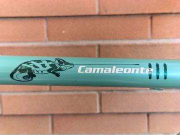 Used Bianchi Camaleonte Shimano Tiagra 2006 Road & Gravel, Green — image 19 of 23