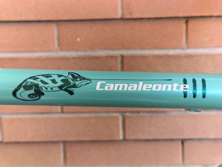 Bianchi Camaleonte Shimano Tiagra 2006 Road & Gravel d'occasion — image 19 sur 23
