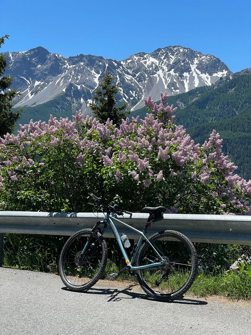 Radon JEALOUS AL 6.0 2024 2024 MTB d'occasion