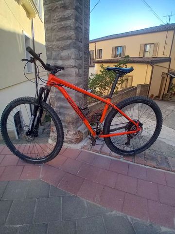 Brugt Cannondale Trail 6 2020 2020 MTB