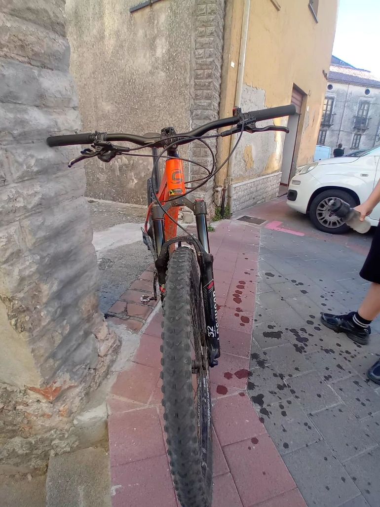 Brugt Cannondale Trail 6 2020 2020 Mountainbike — billede 3 af 4