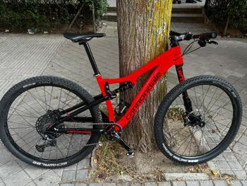 Used Cannondale Scalpel Carbon 3 2023 2023 MTB