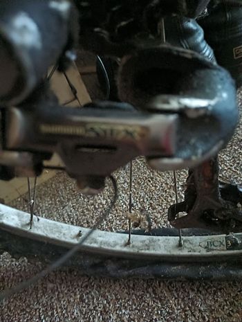 Used Raleigh Custom Other Shimano 1996 Mountainbike, Light Gray — image 2 of 4