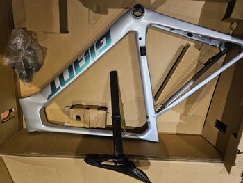 Used Giant Propel Advanced 1 2023 Frameset 2023 Road & Gravel, Light Gray — image 4 of 13